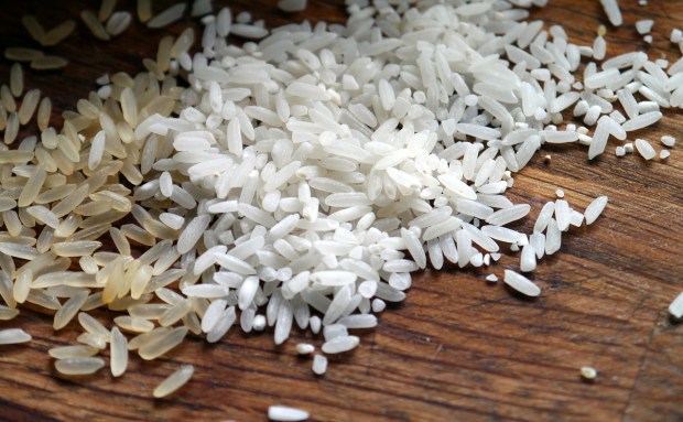 rice-milk-2546097_1280